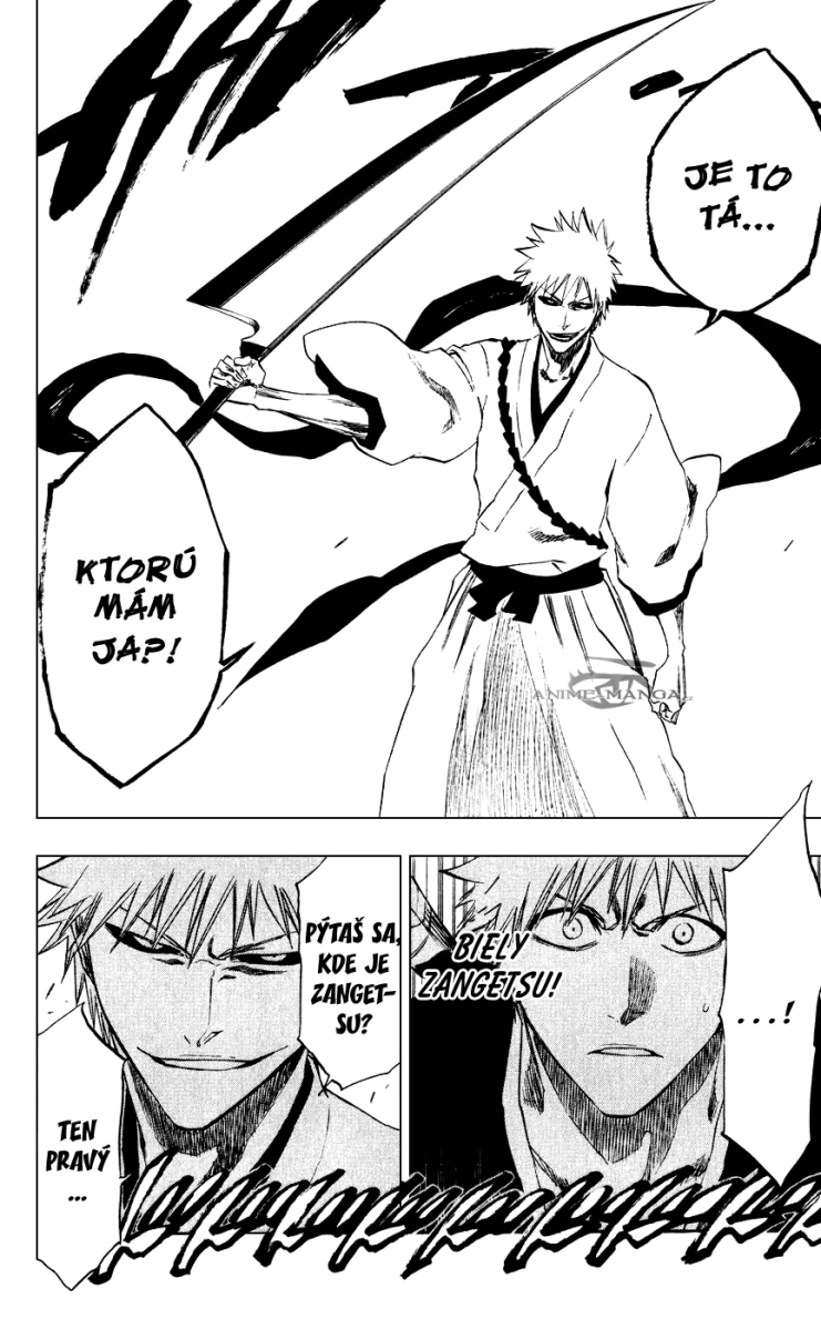 Bleach 218 08 kopie.jpg